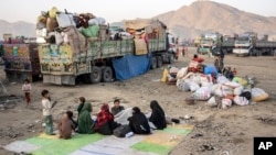 وزیر داخلۀ پاکستان گفته است که مهاجران افغان بدون ویزه و سایر مدارک قانونی اجازه اقامت در پاکستان را ندارند.