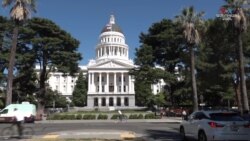 «Քաղաքը ապաստանի վայր չէ ապօրինի ներգաղթյալների համար, որպեսզի կանխվեն հանցագործությունները»