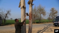 Polisi mengambil sampel darah dari jenazah Mushtaq Ahmed yang digantung di pohon setelah tewas dirajam oleh massa yang marah, Minggu (13/2).