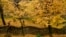 A pedestrian walks down steps through a row of trees during a rainy autumn day, in Pamplona, northern Spain.