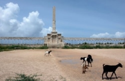 FILE - Goats graze near the Dhagaxtuur statue, the area of former government offices in Somalia's capital Mogadishu, July 30, 2006.