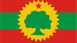 የኦነግ ውዝግብ