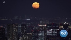 Tungi chiroqlar va iqtisodiy o'sish