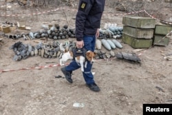 A member of an Explosive Ordnance Disposal (EOD) team carries a dog, as Russia's invasion of Ukraine continues, in the village of Yahidne, near to Chernihiv, Ukraine, April 6, 2022.
