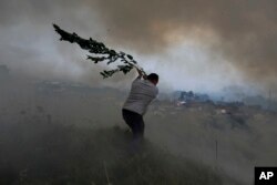 Seorang sukarelawan mengayunkan dahan pohon dalam upaya memadamkan api kebakaran hutan agar tidak mencapai rumah-rumah di desa Casal da Quinta, di luar Leiria, Portugal tengah, 12 Juli 2022. (AP /Joao Henriques)