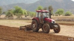 ሕርሻዊ እቶት ዞባ ጋሽ ባርካ 