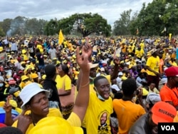 FILE - Zimbabwe’s opposition Citizens Coalition for Change members at a campaign rally in Harare, Feb. 2022. (Columbus Mavhunga/VOA)