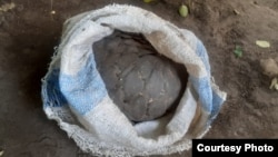 Pangolin recovered from five suspects in Mangochi District, was trafficked in a sack. (Photo courtesy of Ameena Tepani Daudi)