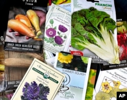 This image provided by Jessica Damiano shows a variety of seed packets in Glen Head, NY, on Jan. 27, 2022. (Jessica Damiano via AP)