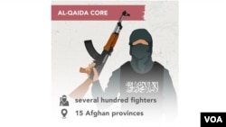 د القاعده اصلي ډله د اېمان الظواهري تر مشرۍ لاندې ده