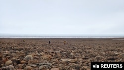 Scientists perform research field work at the edge of the Greenland Ice Sheet while studying the age of the 31-km-wide Hiawatha impact crater, buried under ice six-tenths of a mile (1 km) thick in 2019. (Shfaqat Abbas Khan/Handout via REUTERS)