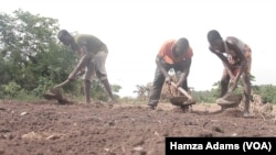 Akalla Mutane 3.6M Na Iya Fuskantar Matsalar Karancin Abinci A Ghana