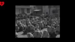 زنان دادخواه PS752 در روز جهانی زن؛ چهار دهه دادخواهی زنان علیه ظلم و نابرابری