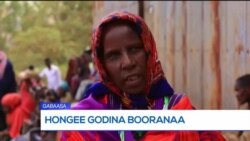 Rakkoon Hongee Nutti Jiruu fi Gargaarsi Argannu Wal Hin Gitu, Jedhu Jiraattonni Booranaa 