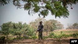FILE - A policeman stands guard in Kaduna State, Nigeria, Feb. 22, 2019.