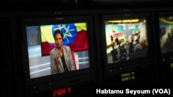 Meaza Gebremedhin, a Tigrayan activist, researcher and human rights advocate, was one of the panelists speaking during a town hall for the Ethiopian diaspora at VOA’s headquarters in Washington D.C. on December 3, 2022.