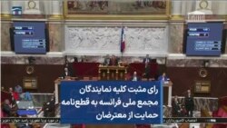 رای مثبت کلیه نمایندگان مجمع ملی فرانسه به قطع‌نامه حمایت از معترضان