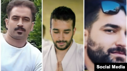 مجید کاظمی (راست)، صالح میرهاشمی، و سعید یعقوبی