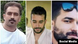 مجید کاظمی (راست)، صالح میرهاشمی، و سعید یعقوبی