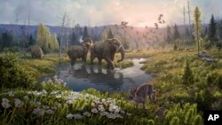 This illustration provided by researchers depicts Kap Kobenhavn, Greenland, two million years ago, when the temperature was significantly warmer than northernmost Greenland today. (Beth Zaiken via AP)