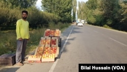 An apple grower selling his produce on a road side on Srinagar-Baramulla highway.