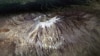 Shrinking Ice Cap on Kilimanjaro Threatens Tourism in Tanzania 