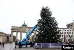 Para aktivis "Letzte Generation" (Generasi Terakhir) memotong pucuk pohon Natal di Gerbang Brandenburg, di Berlin, Jerman, 21 Desember 2022. (REUTERS/Christian Mang)