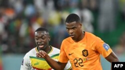 Netherlands da Senegal