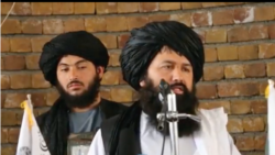 ندا محمد ندیم، سرپرست وزارت تحصیلات عالی طالبان