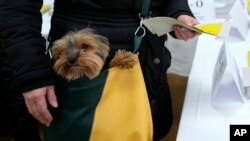 While carrying her dog, a woman visits a polling station in Pruhonice, Czech Republic, Jan. 13, 2023.