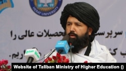 ندا محمد ندیم، سرپرست وزارت تحصیلات عالی طالبان