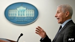 Dr. Anthony Fauci speaks during the daily White House press briefing in Washington, Nov. 22, 2022. Fauci plans to retire soon as President Joe Biden's top medical adviser and the top U.S. infections disease official. 