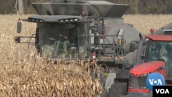 Petani AS beralih ke pertanian karbon (Carbon Farming) untuk menyiasati kenaikan harga produksi.(VOA Video/Kane Farabaugh)