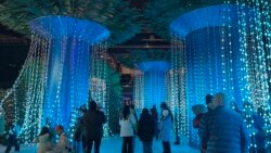 Očaravajući Božić u Vašingtonu: Deda Mraz i četiri miliona ukrasa