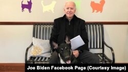 ჯო ბაიდენი თავის ძაღლთან ერთად