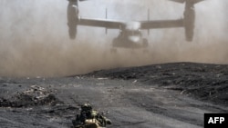 日本自卫队与美国海军陆战队在富士山附近的御殿场市地区举行联合军演。（2022年3月15日）