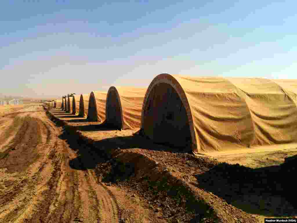 A youth washes a horse in the River Eden on the second day of the annual Appleby Horse Fair, in the town of Appleby-in-Westmorland, northwest England.