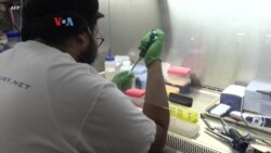 New York Umumkan Status Darurat Bencana Polio