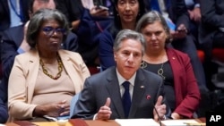 UN General Assembly Security Council