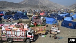 اکثر این مهاجرین در چند روز گذشته با نزدیک شدن مهلت اول نومبر به مرز هجوم آورده اند که رسیدگی به چنین کتلهٔ بزرگ مهاجرین سبب دست و پاچگی مقامات در سمت افغانستان شده است.