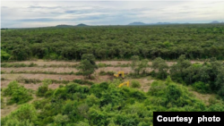 ទិដ្ឋភាពថតតាមឌ្រូនដោយវិទ្យុសំឡេងប្រជាធិបតេយ្យ (VOD) បង្ហាញតំបន់ព្រៃភ្នំតាម៉ៅដែលត្រូវបានក្រុមហ៊ុនឈ្មួញធំៗឈូសឆាយ នៅស្រុកបាទី ខេត្តតាកែវ។ (រូបថតដោយ VOD/ហ្វេសប៊ុក)