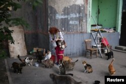 Natalia Pasternak (68), membawa makanan untuk kucing yang ditinggalkan oleh keluarga yang melarikan diri dari perang di lingkungannya di Saltivka utara, Kharkiv, Ukraina 13 Juli 2022. (REUTERS/Nacho Doce)