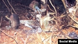 MI-24B-ს კატასტროფა ბაზალეთთან, 2006 წელი, ჟურნალ "არსენალის" ფოტო