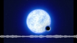 ተመራመርቲ ካብ ቅናት ከዋኽብቲ ወጻኢ ዝኾነ ሓደ ድጉል ኮኾብ ምርካቦም ይገልጹ 