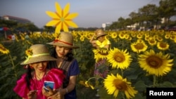 Participants take a "selfie" at a sunflower field in Bangkok, Thailand, January 13, 2016.
