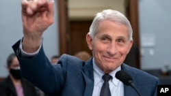 ექიმი ენტონი ფაუჩი, ალერგიების და ინფექციურ დაავადებათა ეროვნული ინსტიტუტის დირექტორი