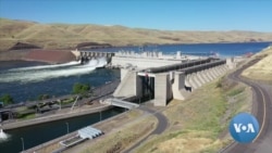 Indigenous Communities Pushing for Dam Destruction to Boost Salmon