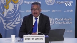 원숭이두창 '국제적 공중보건 비상사태'