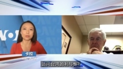 金里奇：佩洛西绝对应该访问台湾