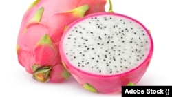 ড্রাগন ফ্রুট বা পিটায়া ফল। 